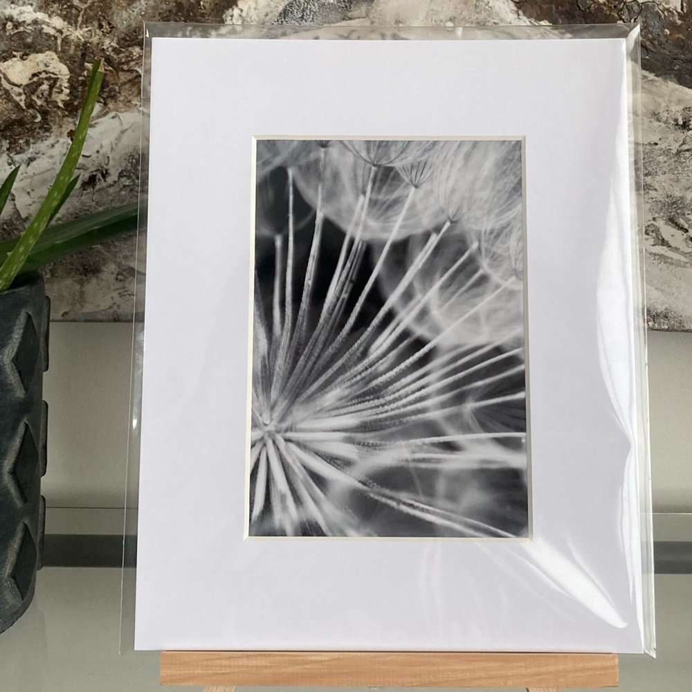 ❌SOLD❌DARK SUBLIME” ~ ORIGINAL ART by ~ @lisamichellebeckerphotography - Picture 11 of 15